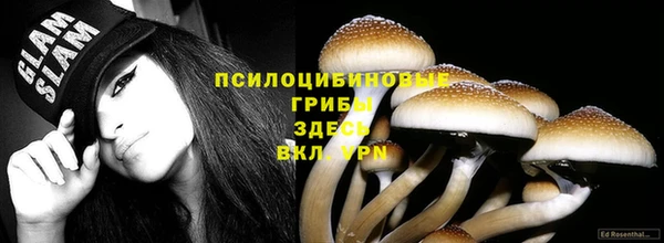 прущий лед Богородск