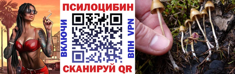 ОМГ ОМГ tor Называевск Псилоцибиновые грибы Psilocybe где найти