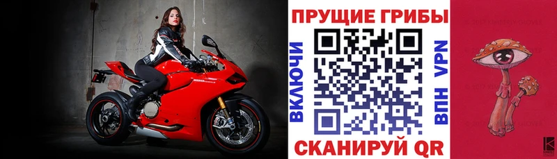 Галлюциногенные грибы MAGIC MUSHROOMS Называевск